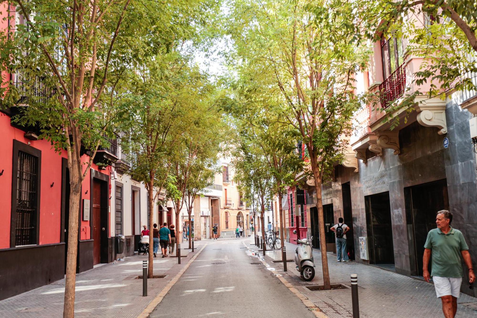 Monkeys Apartments Cervantes Sevilla Exteriér fotografie
