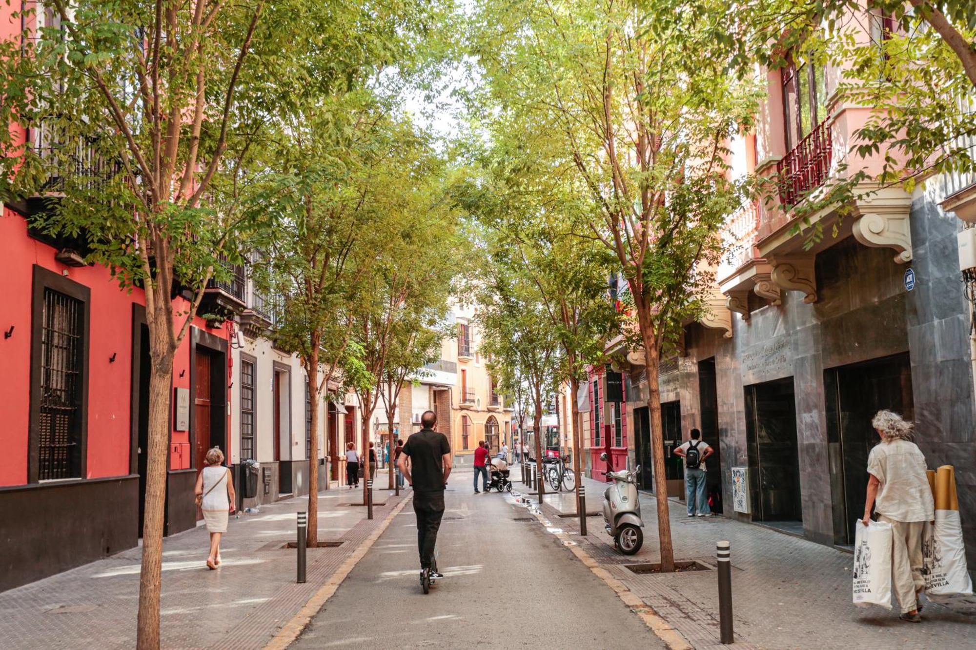 Monkeys Apartments Cervantes Sevilla Exteriér fotografie